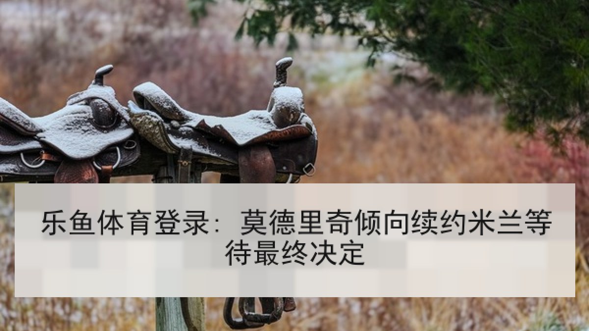 乐鱼体育登录: 莫德里奇倾向续约米兰等待最终决定
